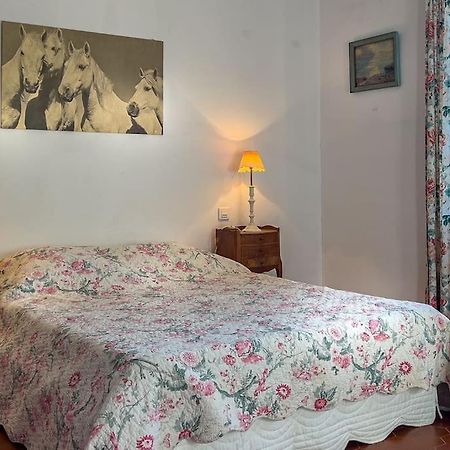 Villa Mas De Charme En Pleine Camargue à Saint-Gilles  Extérieur photo