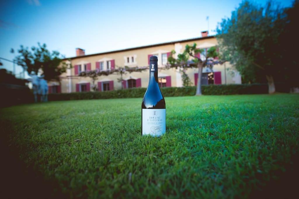 Villa Mas De Charme En Pleine Camargue à Saint-Gilles  Extérieur photo